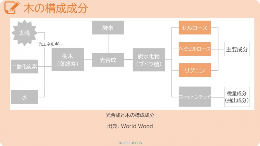 23木の構成成分