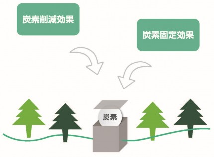 炭素削減効果と炭素固定効果