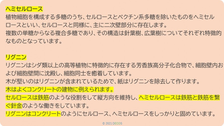 25木の構成成分3